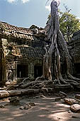 Ta Prohm temple - the imposing eastern gopura of the fourth enclosure